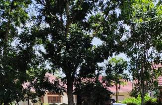 Patuh undang-undang, jalur disabilitas dan MCK Khusus disiapkan Kadis DLH Budi Waluyo, Senin 10/4-2023. (minfo-dms) 