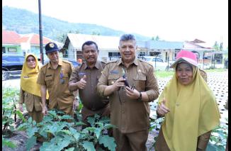 Walikota Solok H. Zul Elfian Umar melakukan panen perdana di Kebun Forkopimda pada Senin, (7/8/2023). (Sumber : Istimewan)