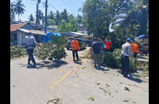Bersihkan material pohon tumbang tutup. (hms/Jonhar) 