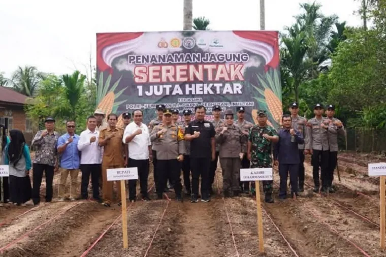 Bupati Dharmasraya, Sutan Riska Tuanku Kerajaan, bersama jajaran Forkopimda setempat turut berpartisipasi dalam program penanaman jagung seluas satu juta hektare yang dilaksanakan secara serentak di seluruh Indonesia pada Selasa (21/01/2025). (Foto: Ist)