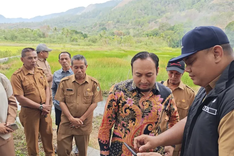 Anggota DPR RI, Rahmat Saleh meninjau langsung lokasi sawah cetak baru yang belum bisa diolah karena irigasi kering. (Foto: Ist)