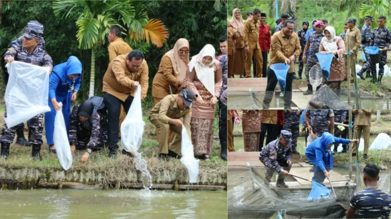 Kodaeral II Padang Dukung Program Ketahanan Pangan di Kota Pariaman