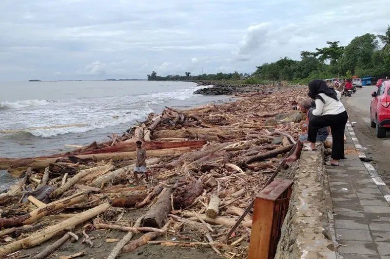 Tumpukan kayu gelondongan memenuhi Pantai Padang setelah banjir besar, memperlihatkan dugaan kuat aktivitas pembalakan liar yang terjadi di kawasan hulu. (Foto: Ist)
