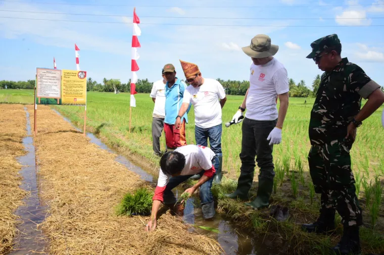 Sinergi Pemkab Padang Pariaman, Korem 032/Wirabraja, dan BWS Sumatera V Gelar Gerakan Irigasi Bersih &amp; Sawah Pokok Murah untuk Ketahanan Pangan