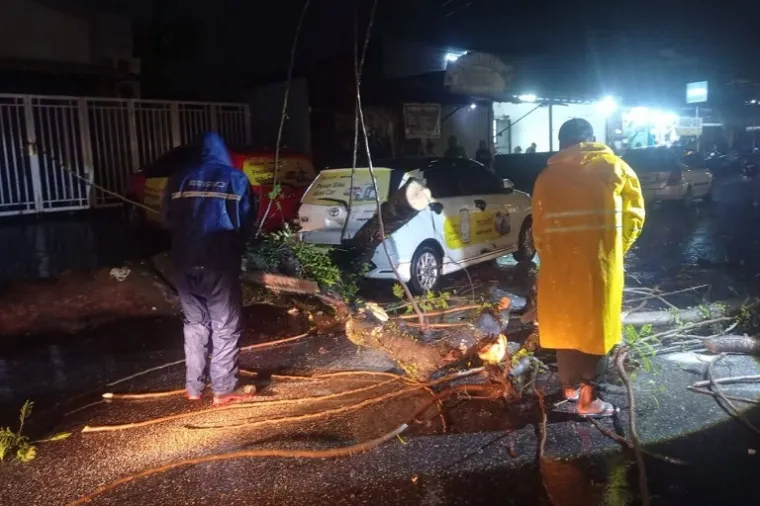 Petugas BPBD Kota Padang mengevakuasi pohon tumbang akibat cuaca ekstrem yang melanda sejak Jumat hingga Minggu. (Foto: Ist)
