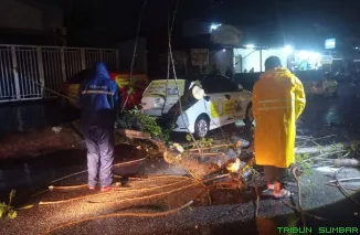 Petugas BPBD Kota Padang mengevakuasi pohon tumbang akibat cuaca ekstrem yang melanda sejak Jumat hingga Minggu. (Foto: Ist)