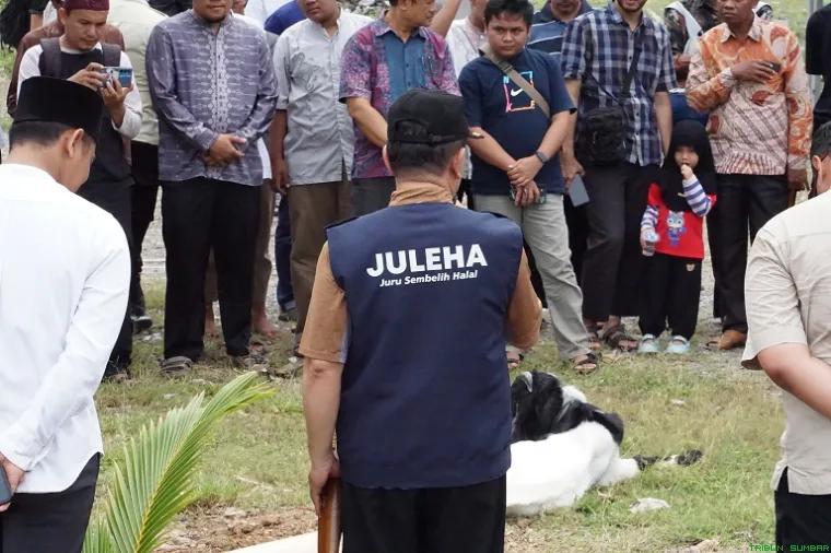Para peserta terlihat serius mengikuti sesi praktik langsung penyembelihan hewan qurban dalam pelatihan yang digelar oleh M Foundation bersama Masjid Al Hakim di Padang, Minggu (17/5/2026). (Foto: Ist)