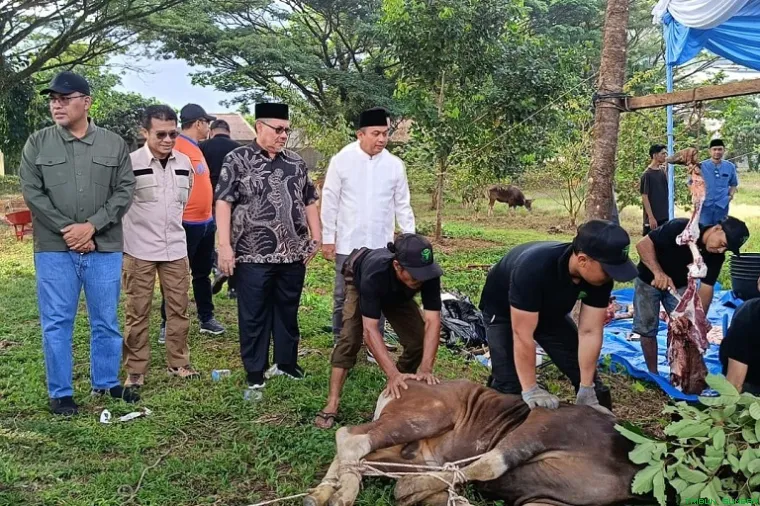 Ketua DPRD Sumbar, Muhidi, menghadiri penyembelihan hewan kurban milik Bank Nagari yang dilaksanakan di cabang Pegambiran, Padang, Kamis (28/5/2026). (Foto: Ist)
