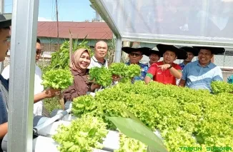 Camat Nanggalo David Fernando (tengah) bersama Ketua Kelompok Tani Badunsanak Fonny Kurnia Utama dan pengurus LKM melihat hasil panen perdana tanaman hidroponik di Kampung Lapai, Rabu (17/6/2026). (Foto: Ist)