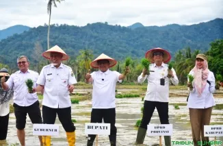 Target Mentan Sebulan, Padang Pariaman Tuntaskan Penanganan Lahan Pertanian Hanya 23 Hari, Tercepat di Sumbar
