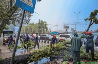 Personel BPBD Kota Padang bersiaga di kawasan wisata pantai, sekaligus melakukan penanganan pohon tumbang di Simpang Haru menyusul peringatan cuaca ekstrem berupa hujan lebat dan angin kencang. (Foto: Ist)