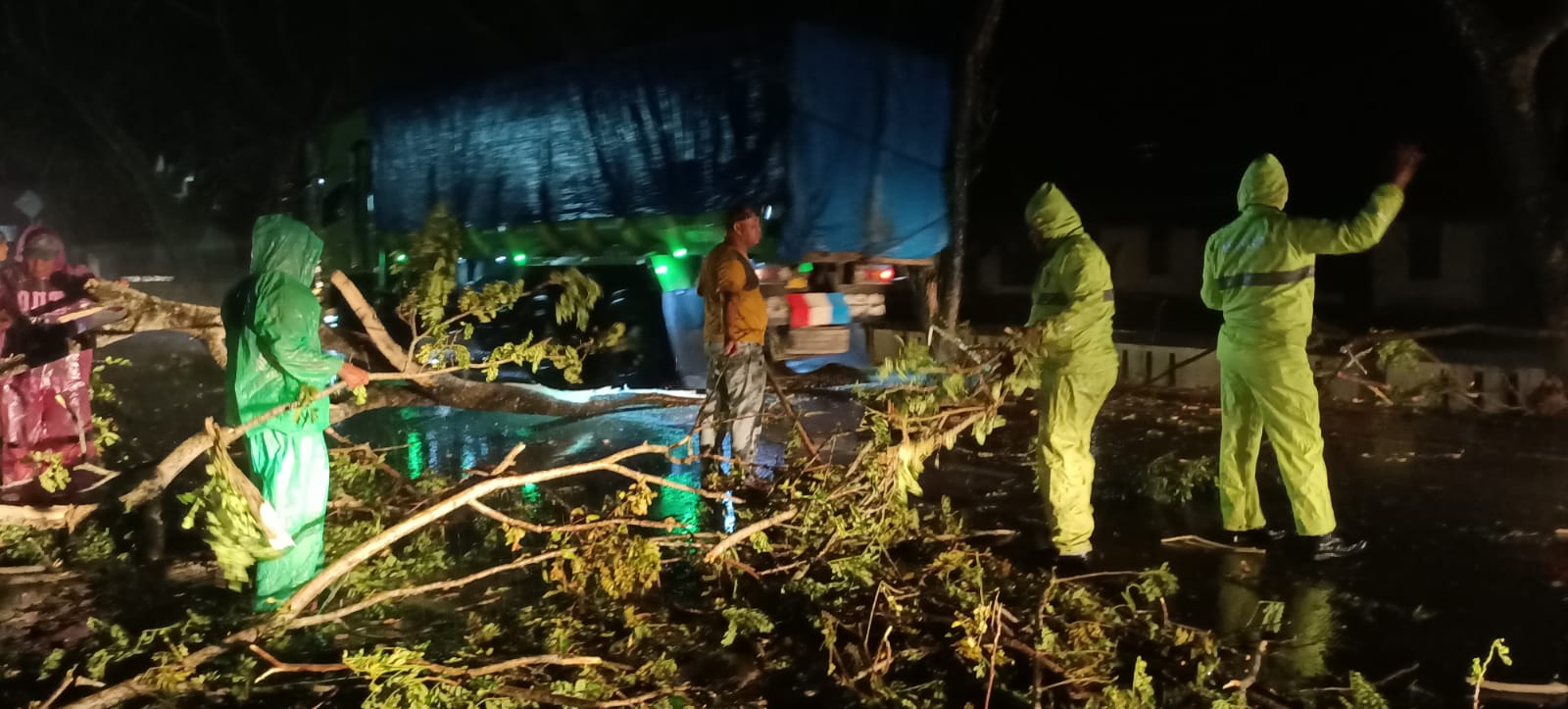 Hujas deras tumbangkan pohon di Dhamrasraya, Selasa 15 Februari 2022. (dok/ko) 