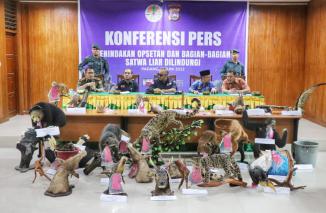 BkSDA tangkap W, terangka pengawet kerangka dan kulit binatang dilindungi, pers konference,Jumat 17 Juni 2022. (dok) 