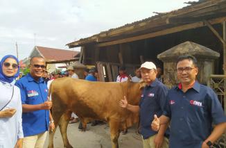 Ini sapi qurban dari Gubernur DKI Jakarta diamanahkan pemotonganny akepada Relawan ANIES Sumbar, Senin 11 Juli 2022 dipotong di daerah Dadok Tunggul Hitam Padangm (sis) 