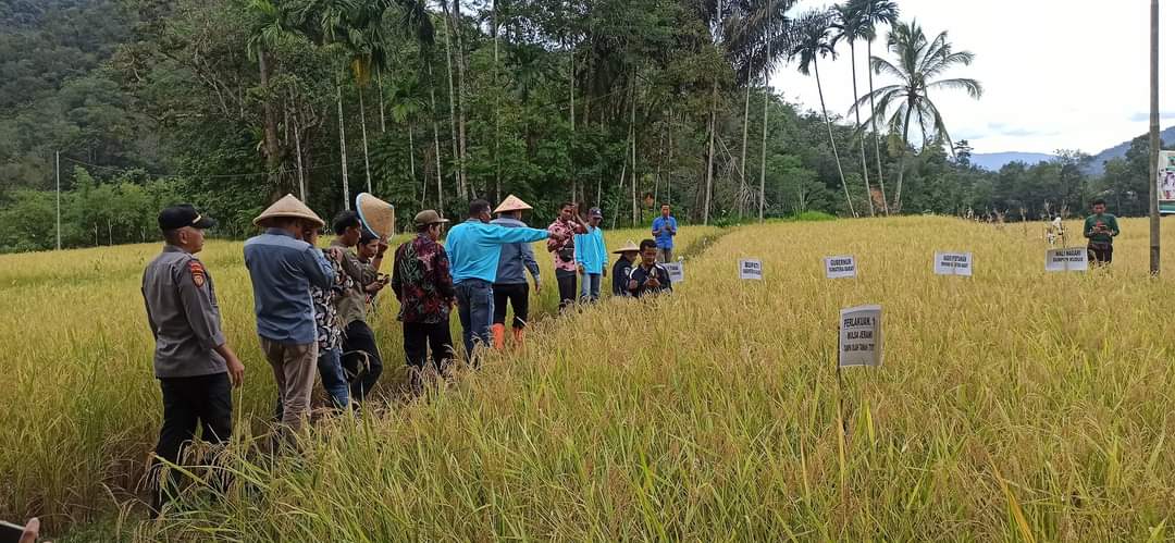 OPD Disbuntanhor Sumbar sukses berkinerja demi Progul Sumbar Sejahtera sepanjang 2022, berharap 2023 lebih baik lagi. (sis) 
