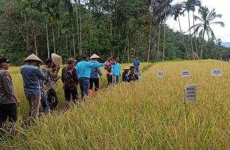 OPD Disbuntanhor Sumbar sukses berkinerja demi Progul Sumbar Sejahtera sepanjang 2022, berharap 2023 lebih baik lagi. (sis) 