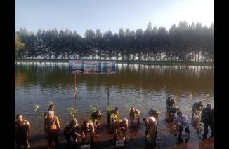 Jajaran Kodim Pessel Tanam  Mangrove Dipimpin sevara virtual oleh Presiden RI, Senin (15/5/2023). (Sumber : Istimewa) 