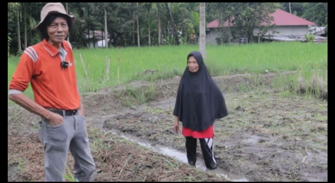 Ir Djoni dengan Oenti Hendriani petani perempuan yang mengolah tanahnya dengan Basawah Pokok Murah. (scrnsht)