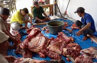 Idul Adha 1445 H, yBAS potong dua ekor api qurban, Selasa 18/6-2024. (sbl)