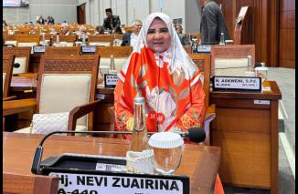 Hj. Nevi Zuairina Soroti Masalah Pertambangan Tanpa Izin (PETI) dalam Raker dengan Kementerian ESDM