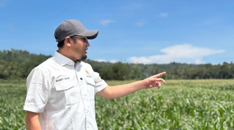 Rahmat Saleh Tinjau Swasembada Jagung di Pesisir Selatan, Target 4.000 Hektare 2026