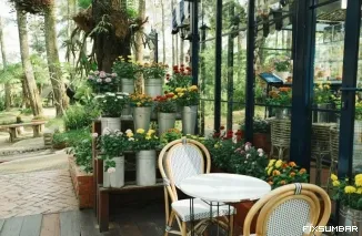 Orchid Forest Cikole, Rumah Keindahan Ada di Sini, Bak Kupu-kupu yang Lupa Terbang